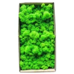 1500g Simulation Plants Eternal Life Moss /Garden Home Decor Wall DIY Flower Material Mini Garden Micro Landscape Fake Moss Gift